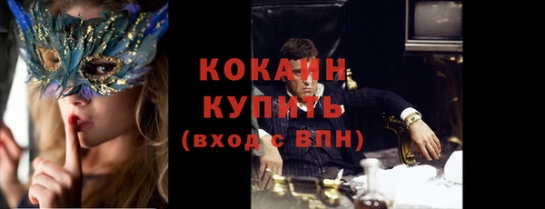 ГАЛЛЮЦИНОГЕННЫЕ ГРИБЫ Шали