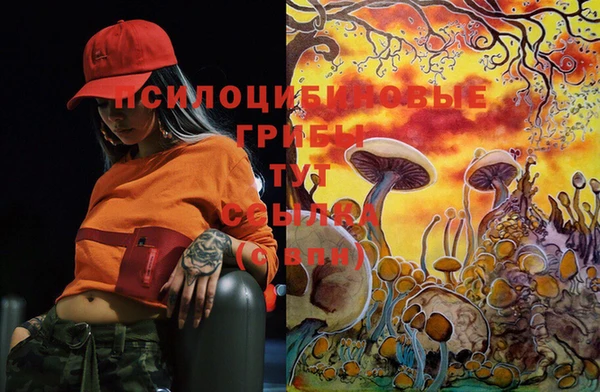 ГАЛЛЮЦИНОГЕННЫЕ ГРИБЫ Шали